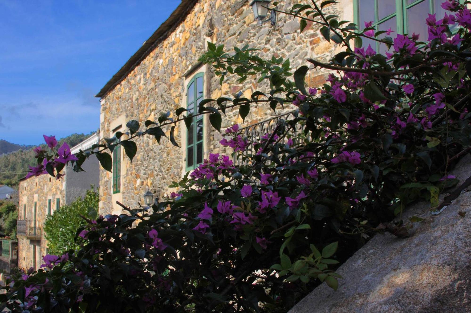 Pazo Da Trave Ξενοδοχείο Viveiro Εξωτερικό φωτογραφία