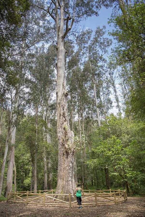 Pazo Da Trave Ξενοδοχείο Viveiro Εξωτερικό φωτογραφία